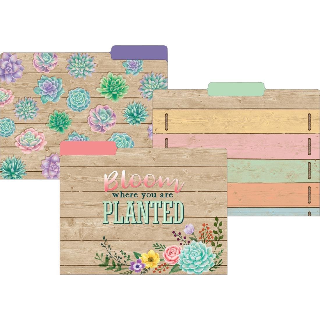 File Folders from the Rustic Bloom collection by Teacher Created Resources