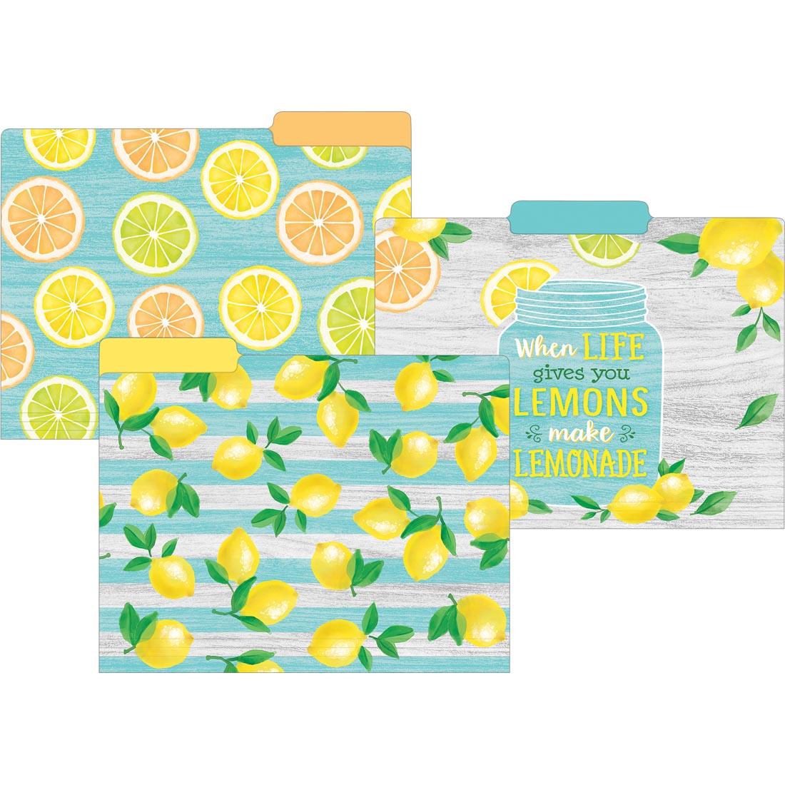 File Folders from the Lemon Zest collection by Teacher Created Resources
