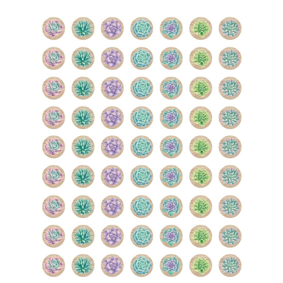 Succulents Mini Stickers from the Rustic Bloom collection by Teacher Created Resources