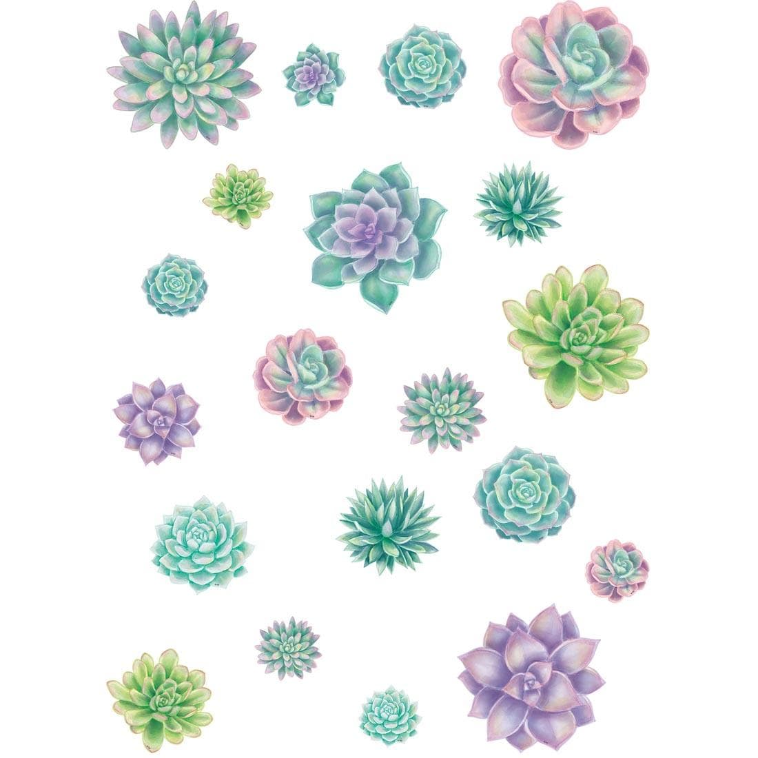 Succulent Accents from the Rustic Bloom collection by Teacher Created Resources