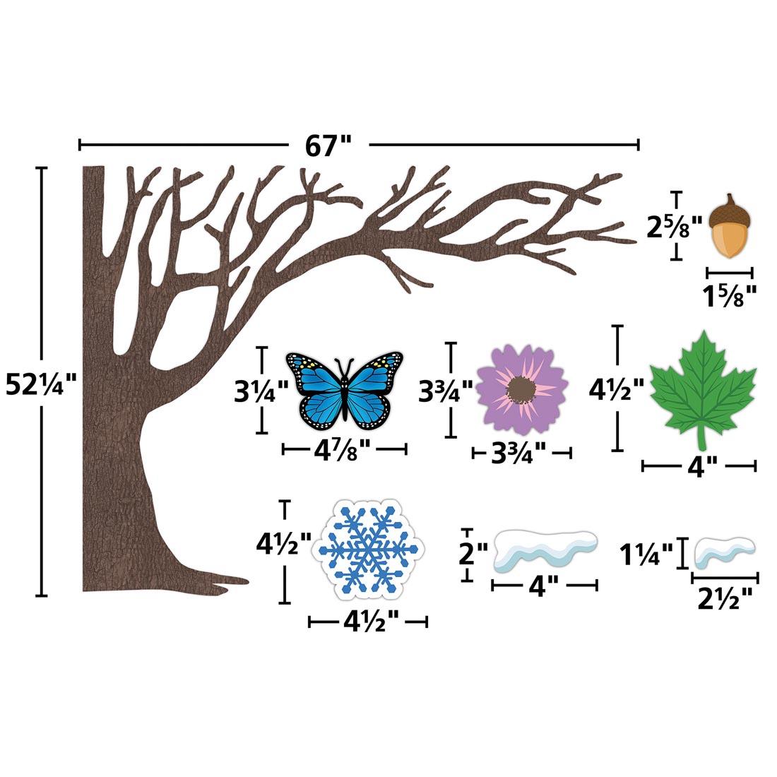 components of Tree for All Seasons Bulletin Board Set By Teacher Created Resources each labeled with their measurements