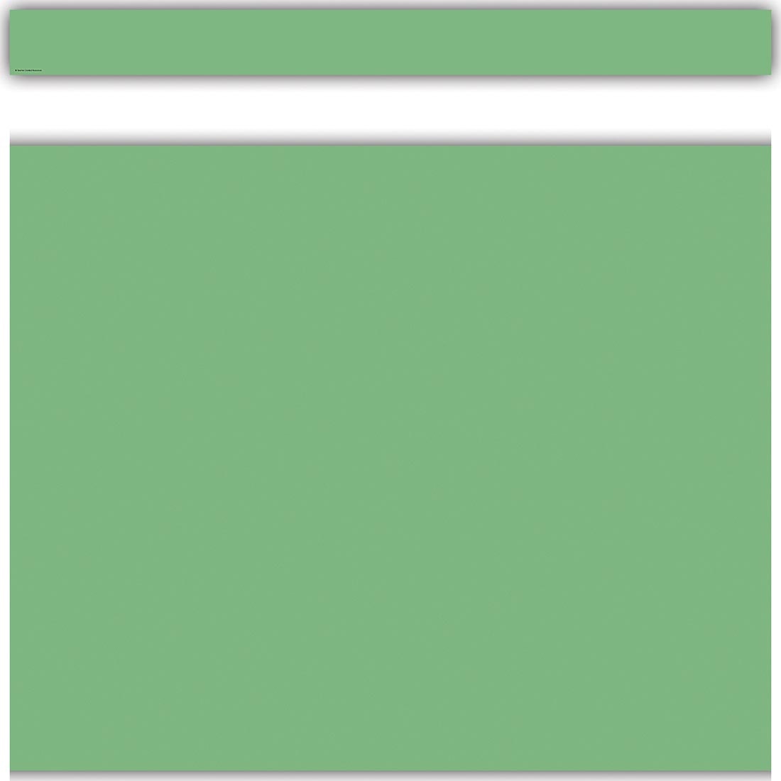 full strip plus closeup of Green Straight Border Trim from the Color Crush collection by Teacher Created Resources