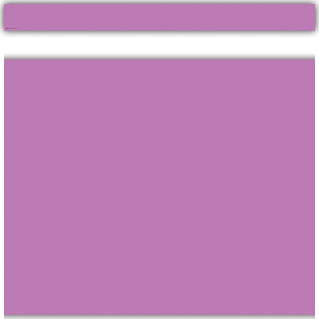 full strip plus closeup of Purple Straight Border Trim from the Color Crush collection by Teacher Created Resources
