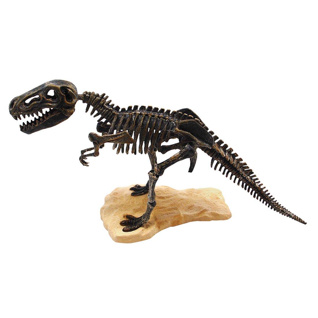 Excavated Dinosaur from the Discover T-Rex Adventure Dig Kit by Tedco