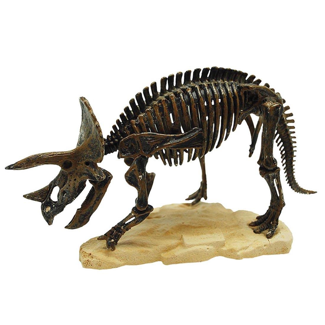 Excavated dinosaur from the Discover Triceratops Adventure Dig Kit by Tedco