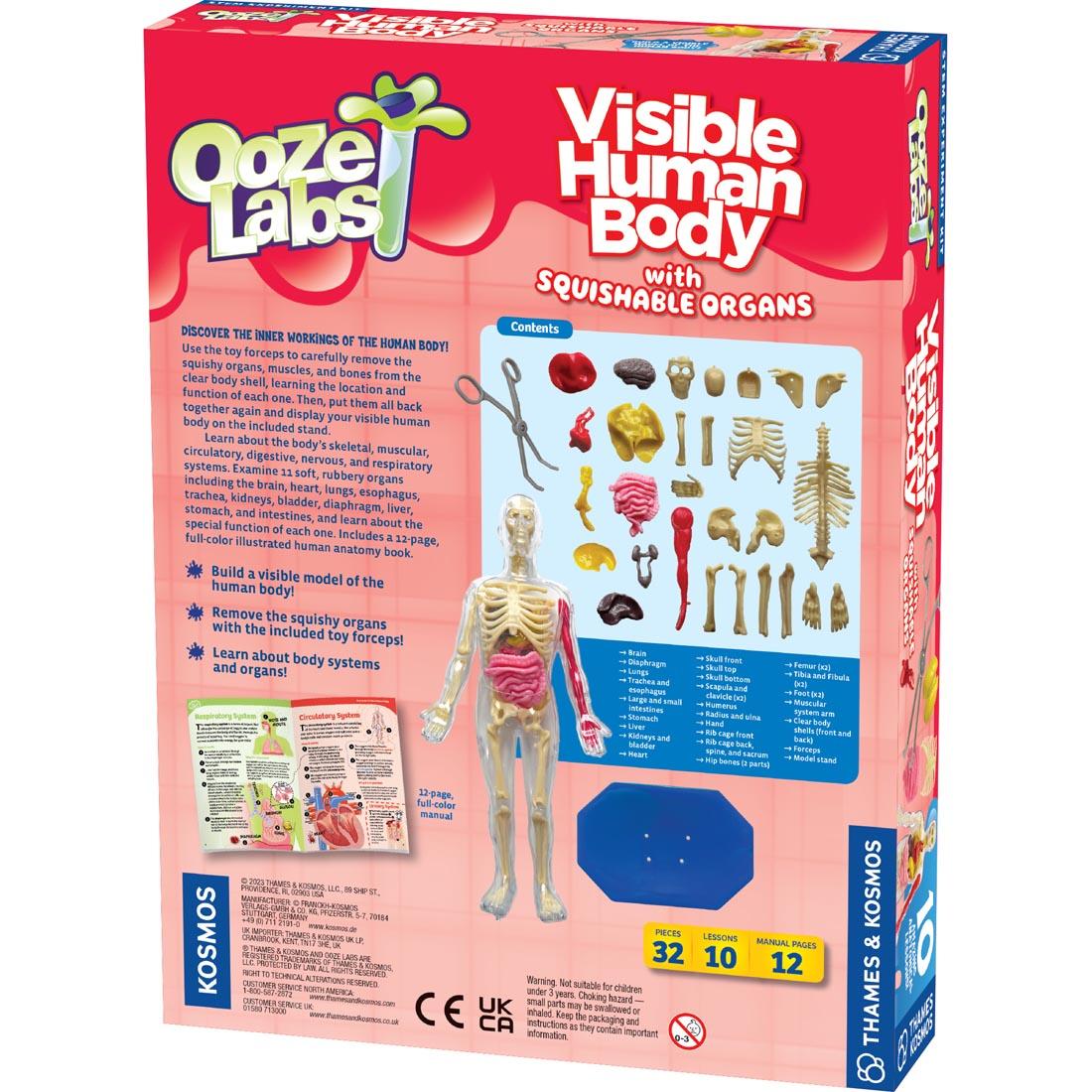 back of package for Ooze Labs Visible Human Body with Squishable Organs
