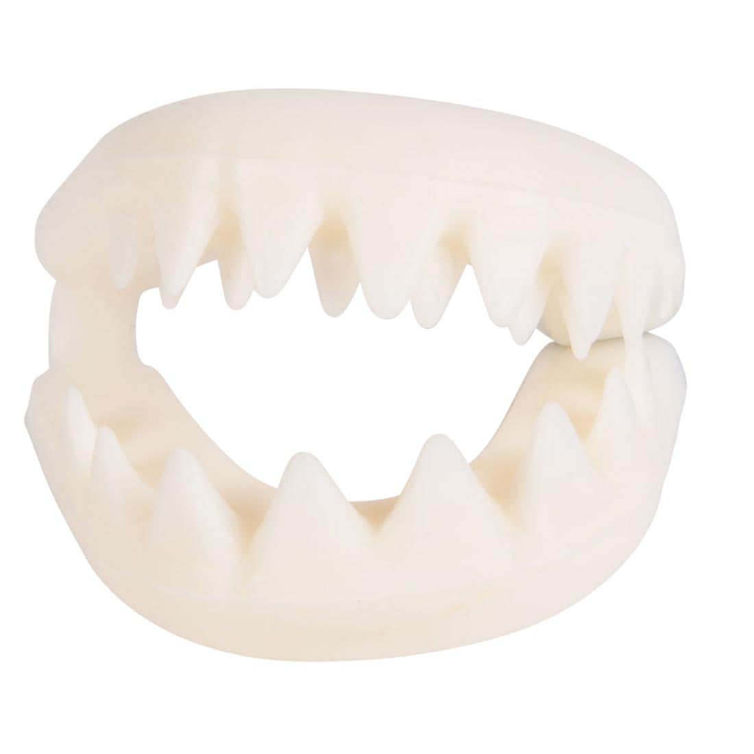 Great White Shark Teeth