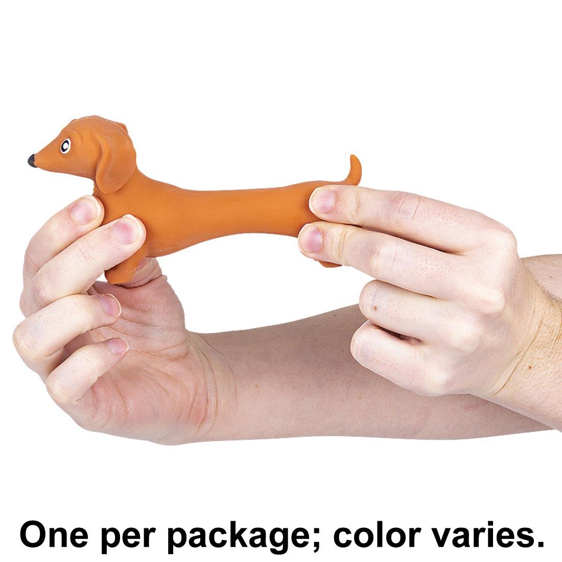 hands stretching a Stretch Dachshund Fidget Toy plus text One per package; color varies