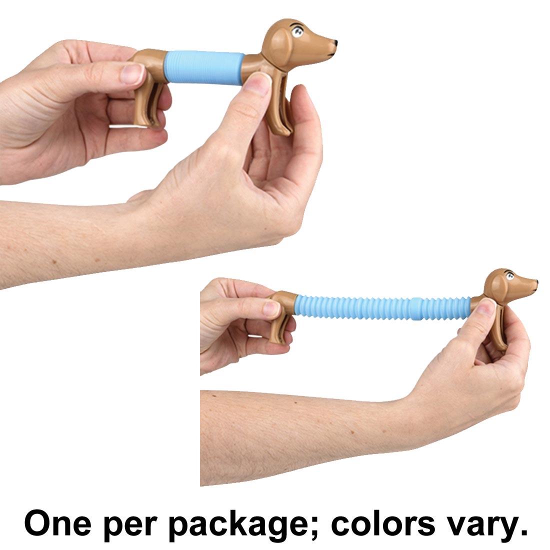 hands holding a Fidget Pop Tube Dachshund both short and extended, plus text One per package; colors vary