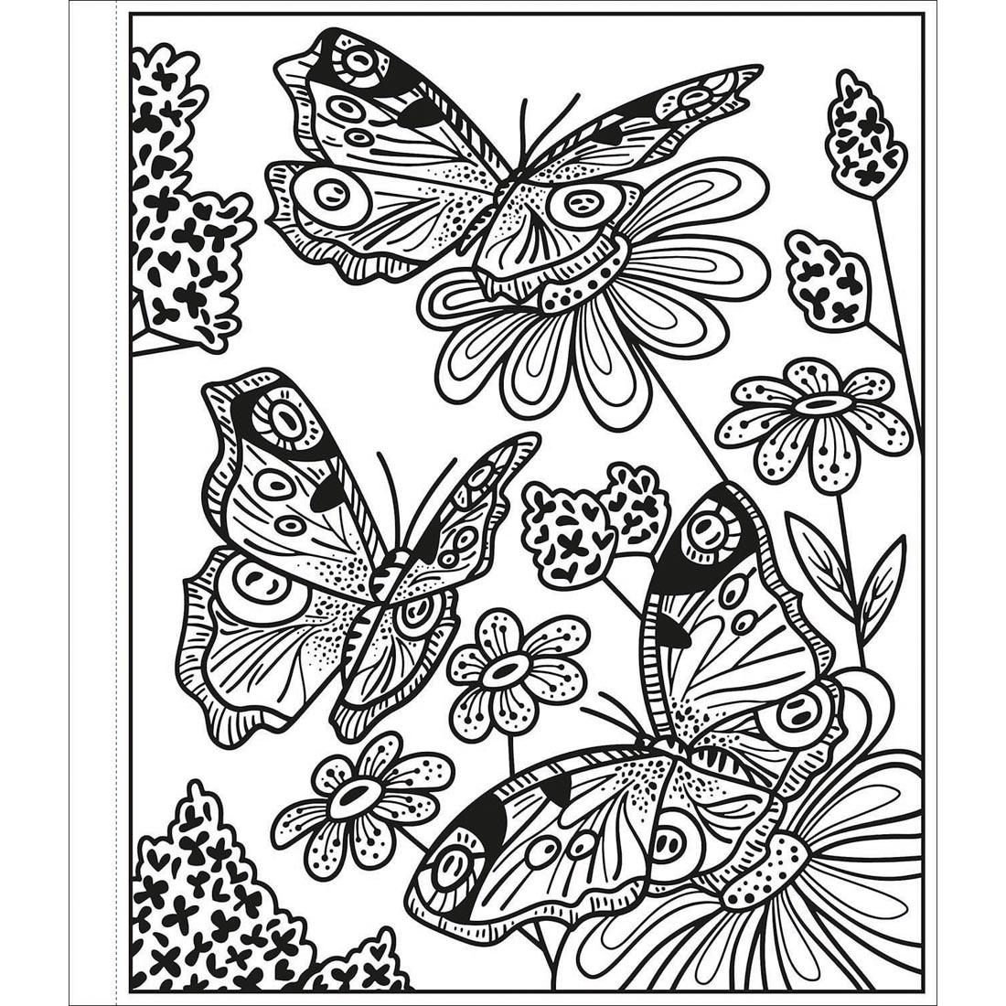 a page from Butterflies Magic Painting Book by Usborne