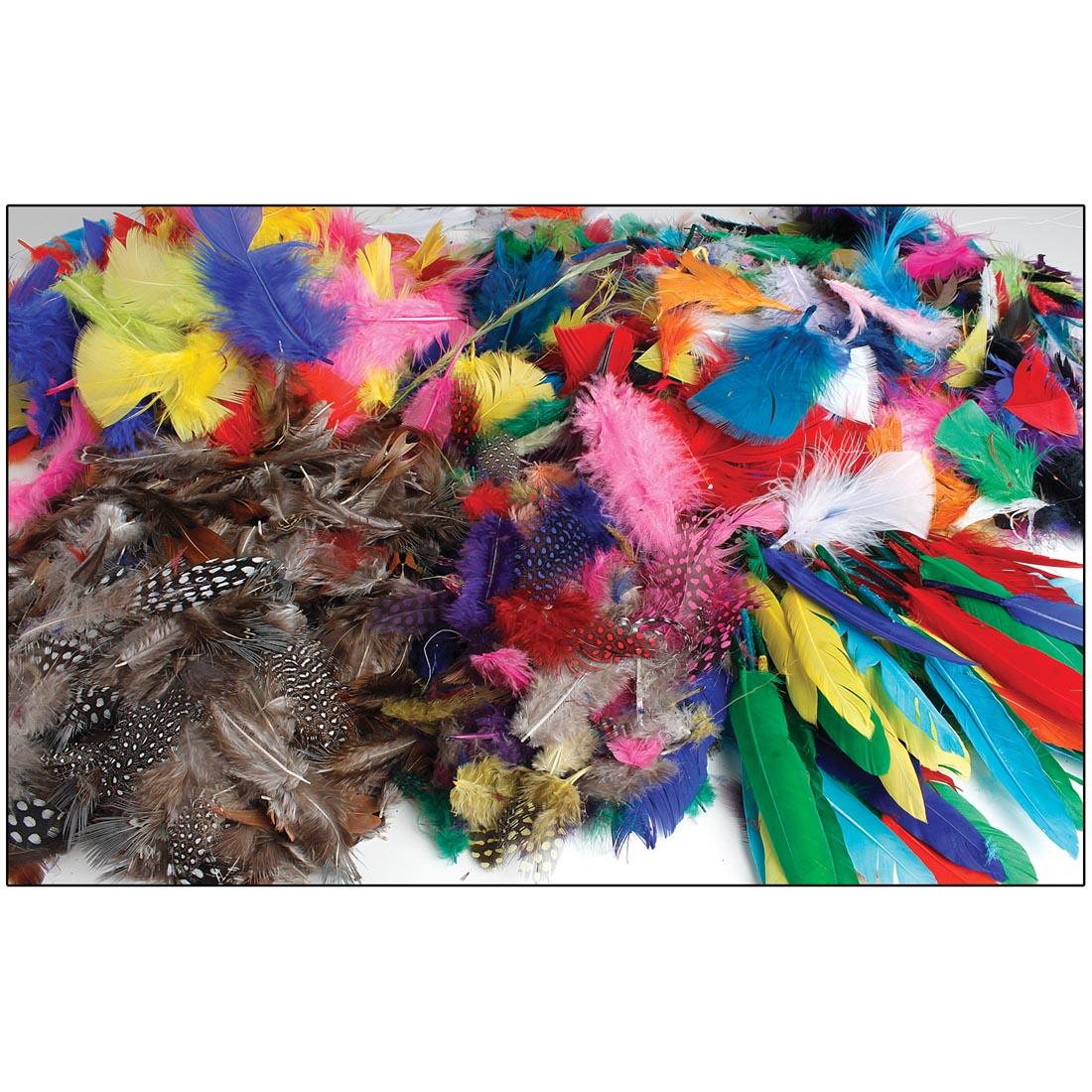 components of the Feather Class Pack Assortment by United Art & Education