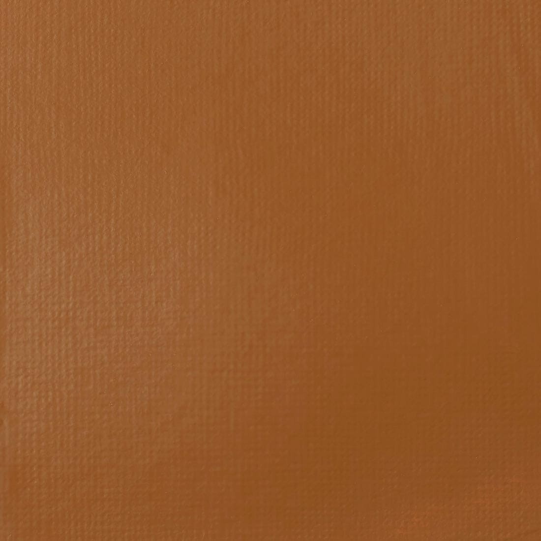 Raw Sienna Liquitex Professional Heavy Body Acrylic Paint Swatch