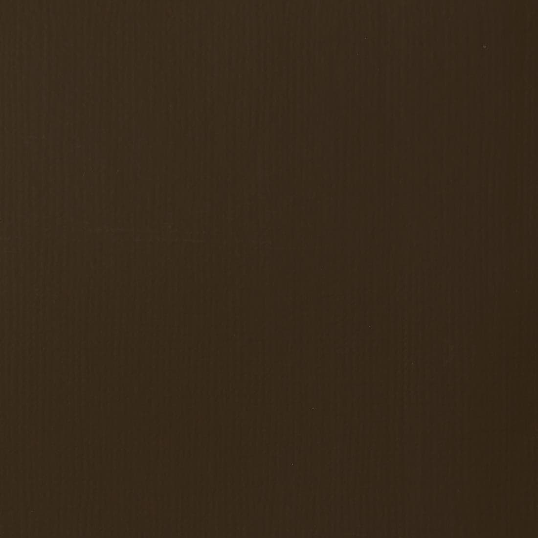 Raw Umber Liquitex Professional Heavy Body Acrylic Paint Swatch