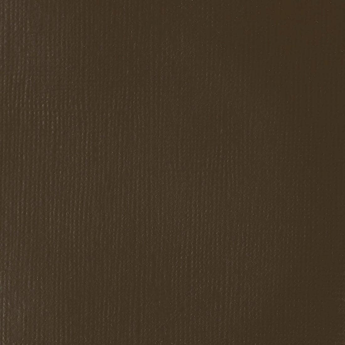 Transparent Raw Umber Liquitex Professional Heavy Body Acrylic Paint Swatch