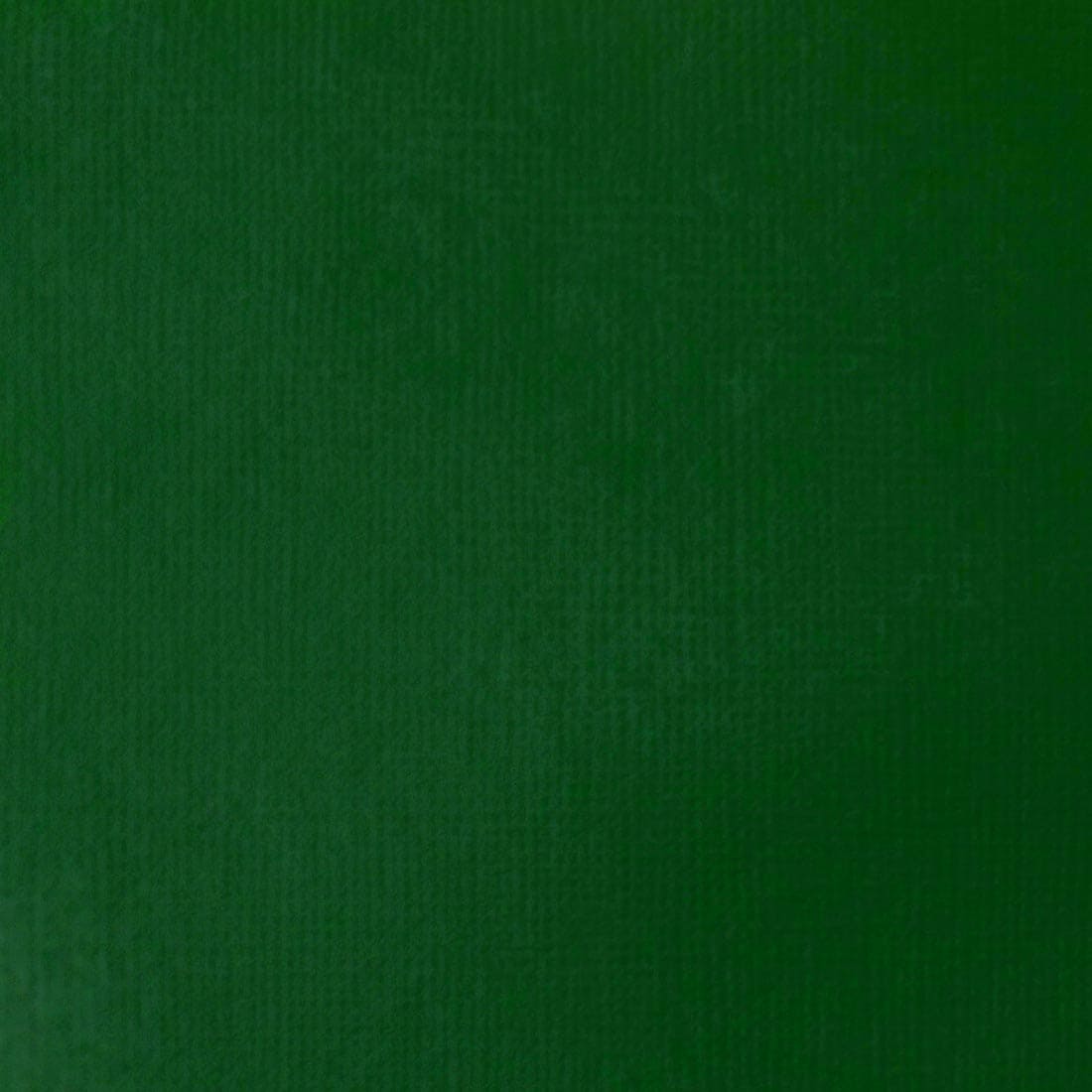 Green Deep Permanent Liquitex Professional Heavy Body Acrylic Paint Swatch