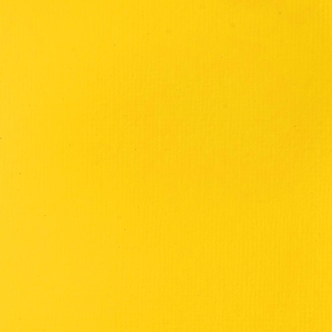 Cadmium Yellow Light Hue Liquitex Basics Acrylic Paint Swatch