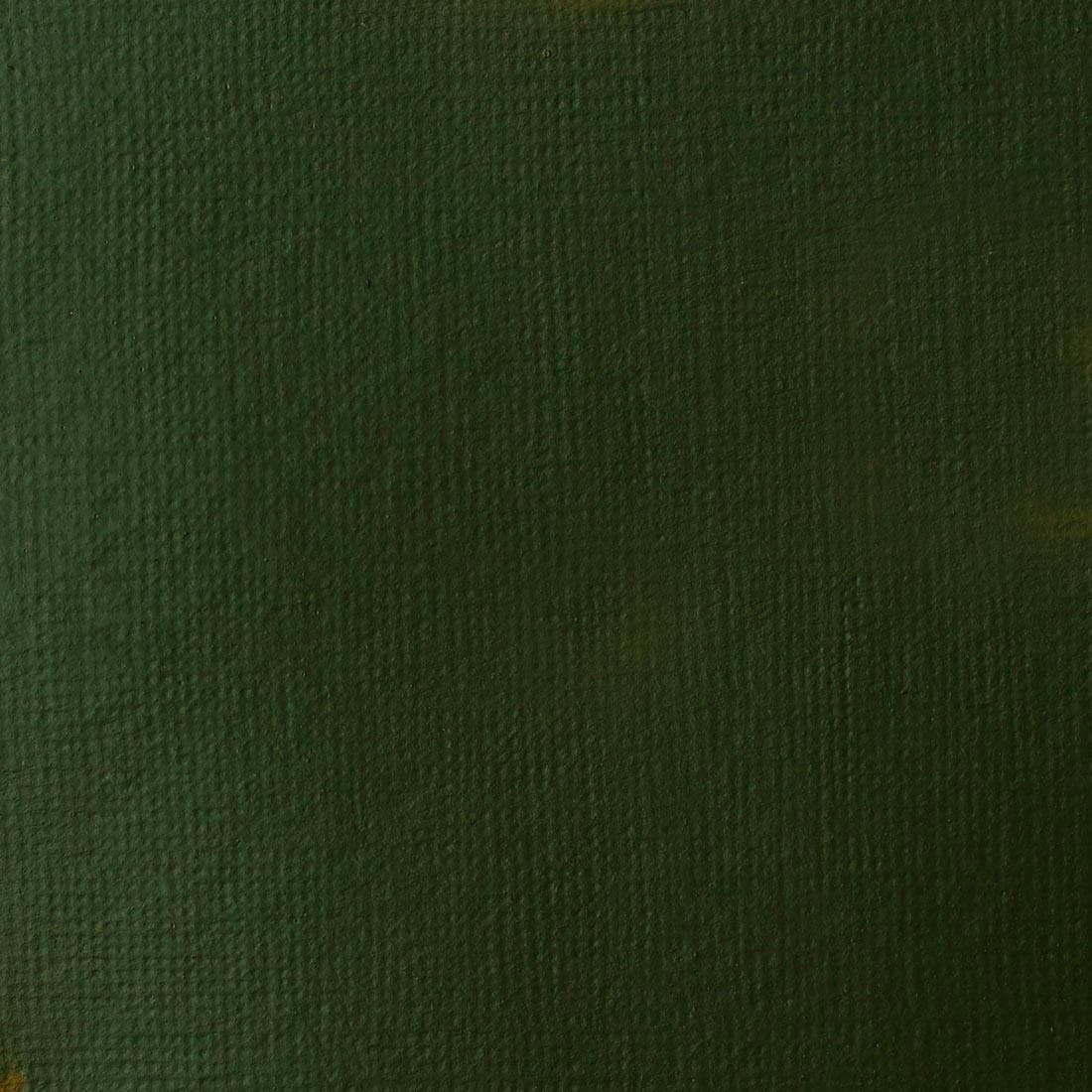 Hooker's Green Hue Permanent Liquitex Basics Acrylic Paint Swatch