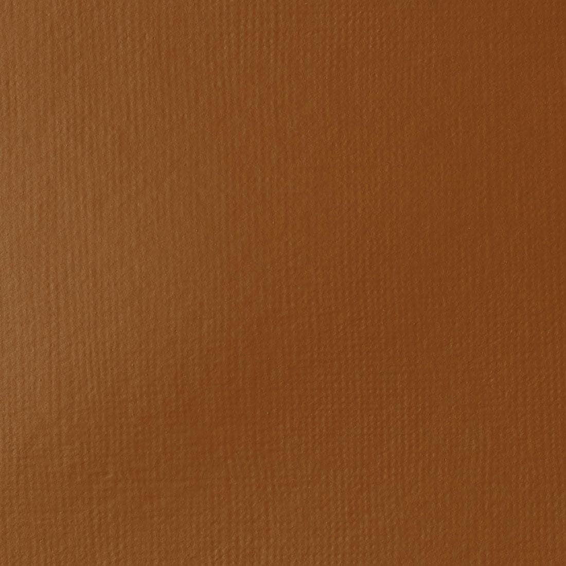 Raw Sienna Liquitex Basics Acrylic Paint Swatch