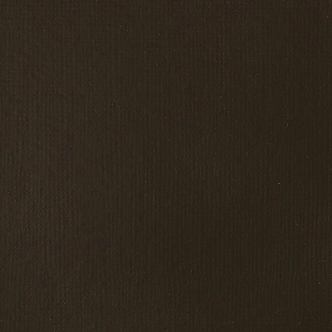 Raw Umber Liquitex Basics Acrylic Paint Swatch