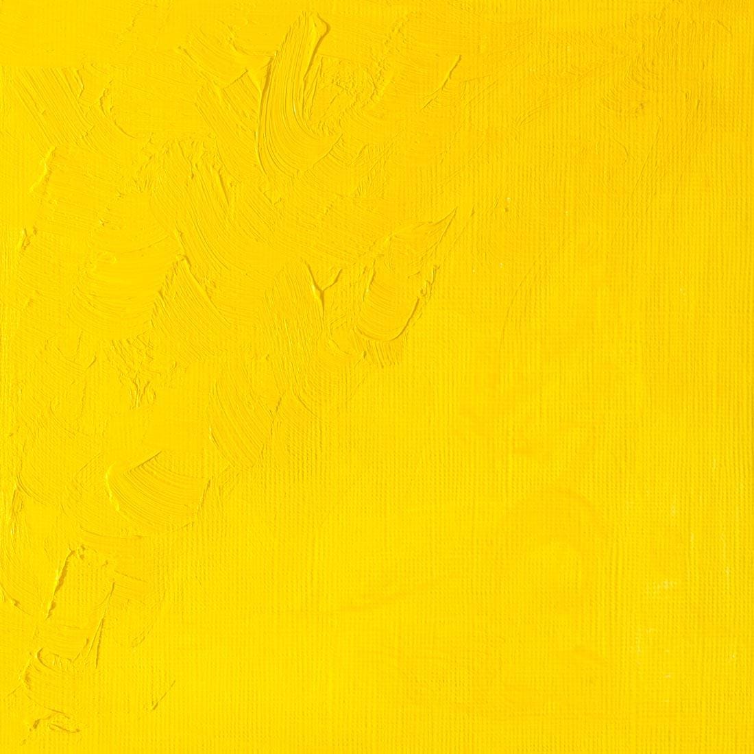 Cadmium Yellow Light Winsor & Newton Winton Oil Colour Paint Swatch
