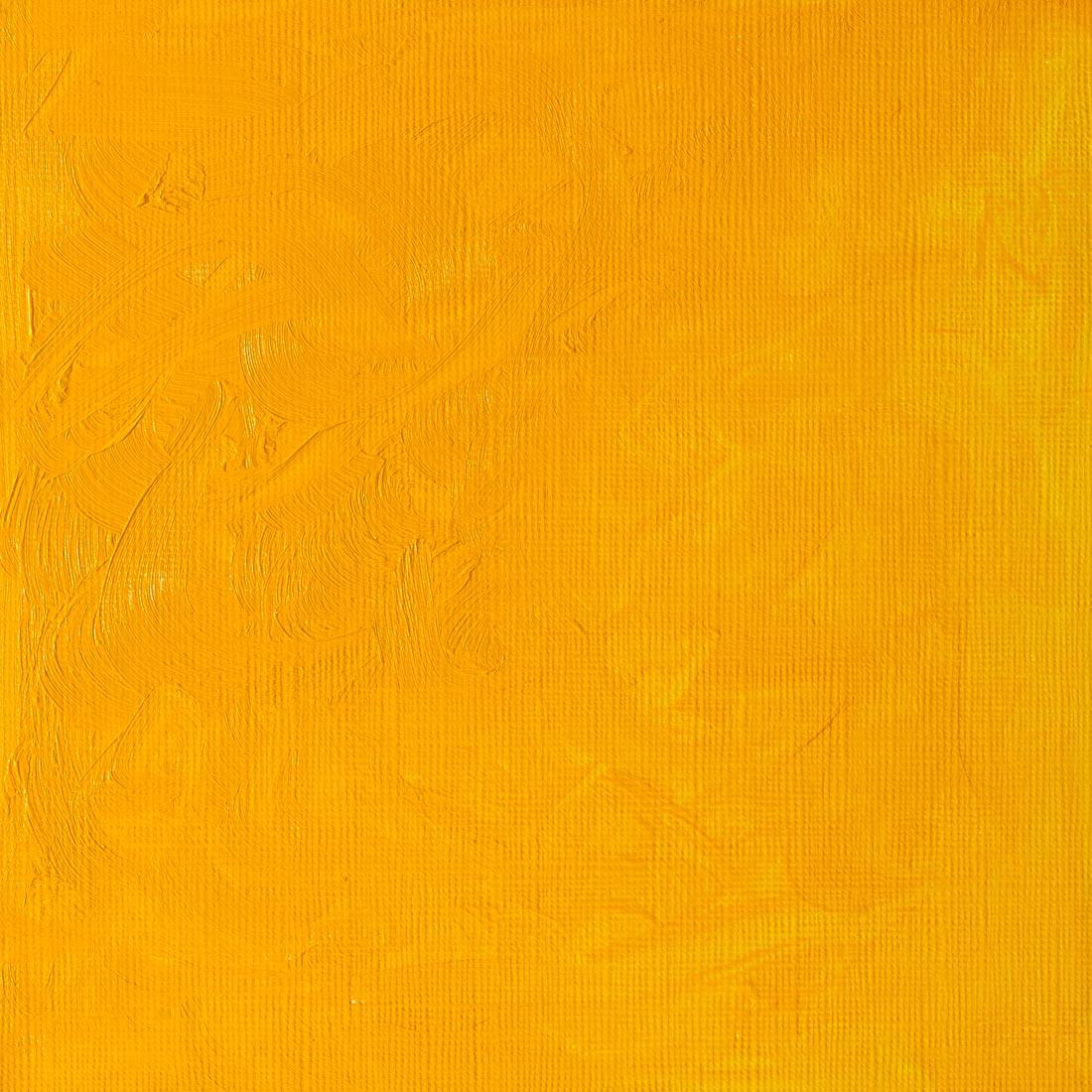 Cadmium Yellow Medium Winsor & Newton Winton Oil Colour Paint Swatch