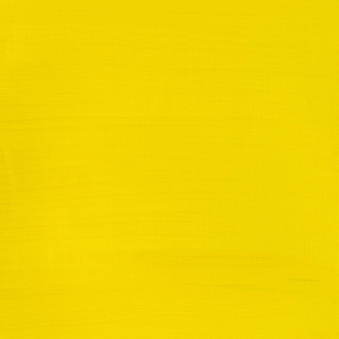 Paint Swatch of Cadmium Yellow Pale Hue Winsor and Newton Galeria Acrylic
