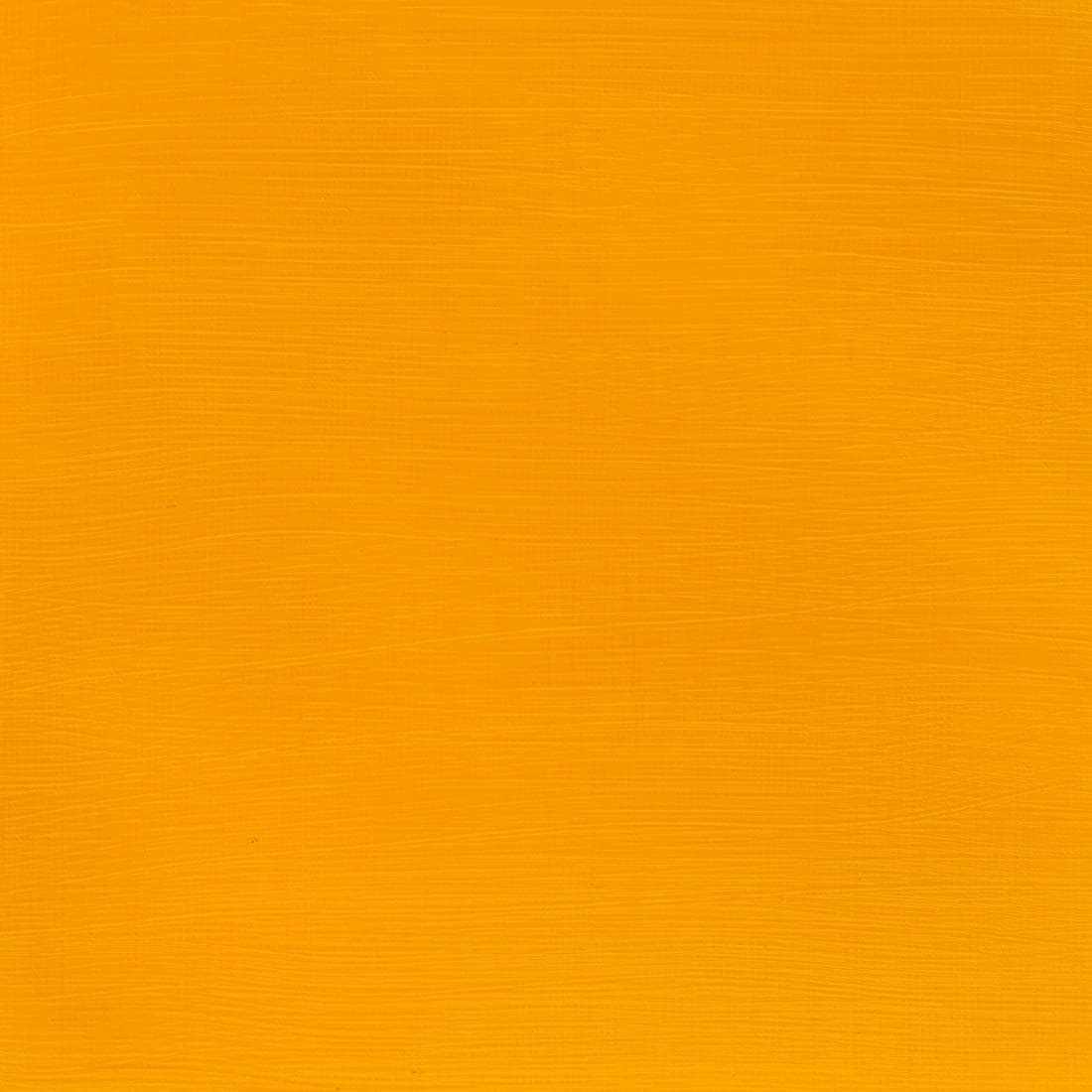 Paint Swatch of Cadmium Yellow Deep Hue Winsor and Newton Galeria Acrylic
