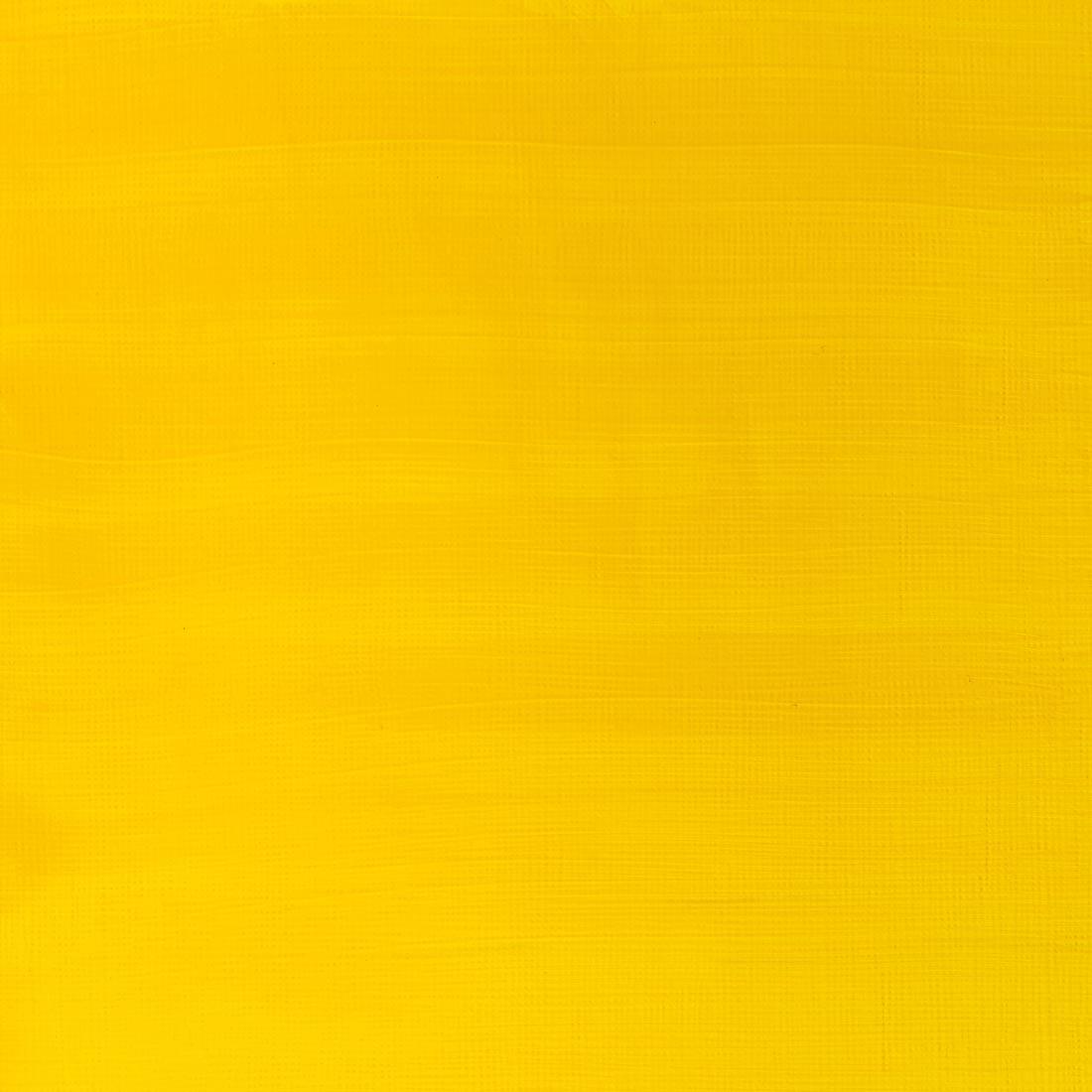 Paint Swatch of Cadmium Yellow Medium Hue Winsor and Newton Galeria Acrylic