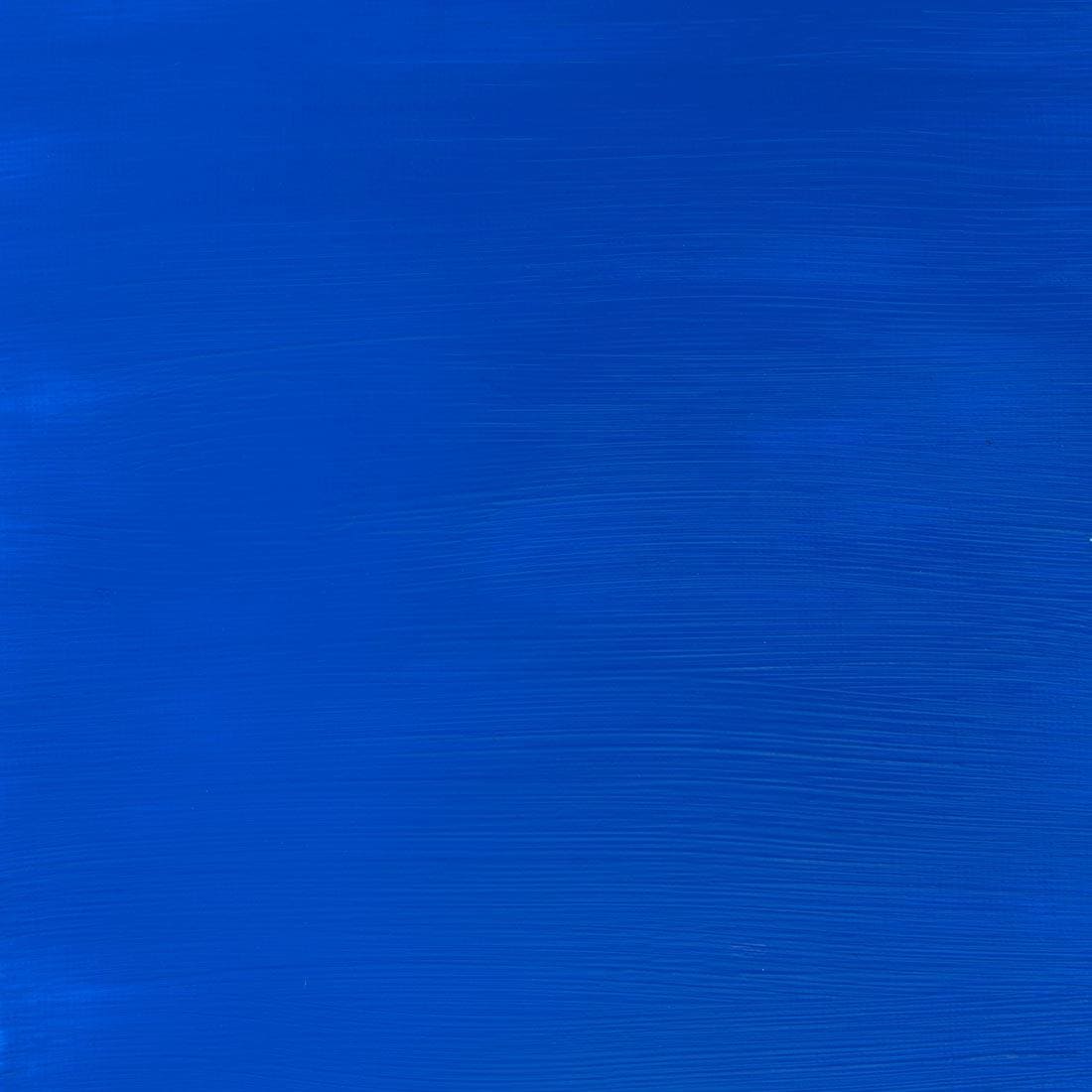 Paint Swatch of Cobalt Blue Hue Winsor and Newton Galeria Acrylic