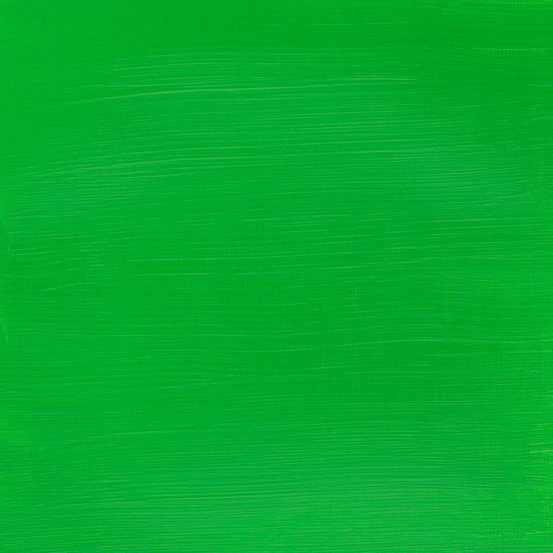 Paint Swatch of Permanent Green Light Winsor and Newton Galeria Acrylic