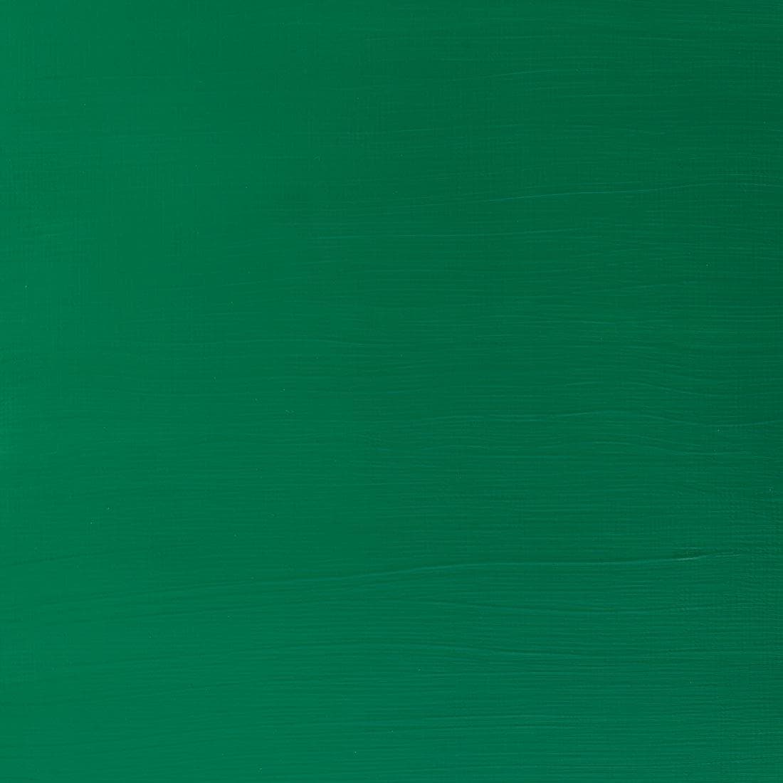Paint Swatch of Permanent Green Middle Winsor and Newton Galeria Acrylic