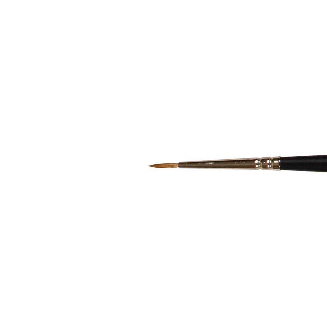 Winsor & Newton Artists' Water Colour Sable Brush Size 0, close up of brush head