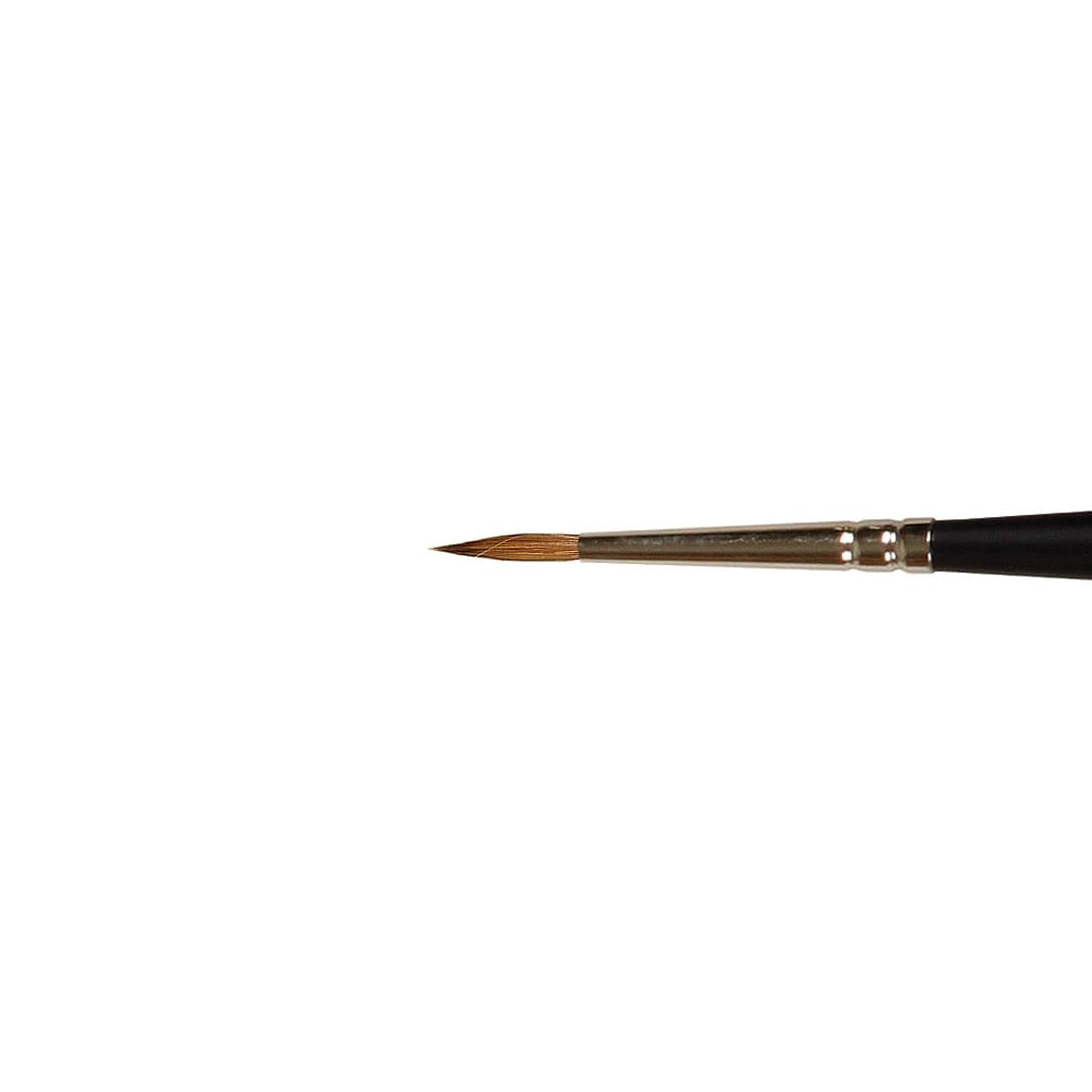 Winsor & Newton Artists' Water Colour Sable Brush Size 2, close up of brush head