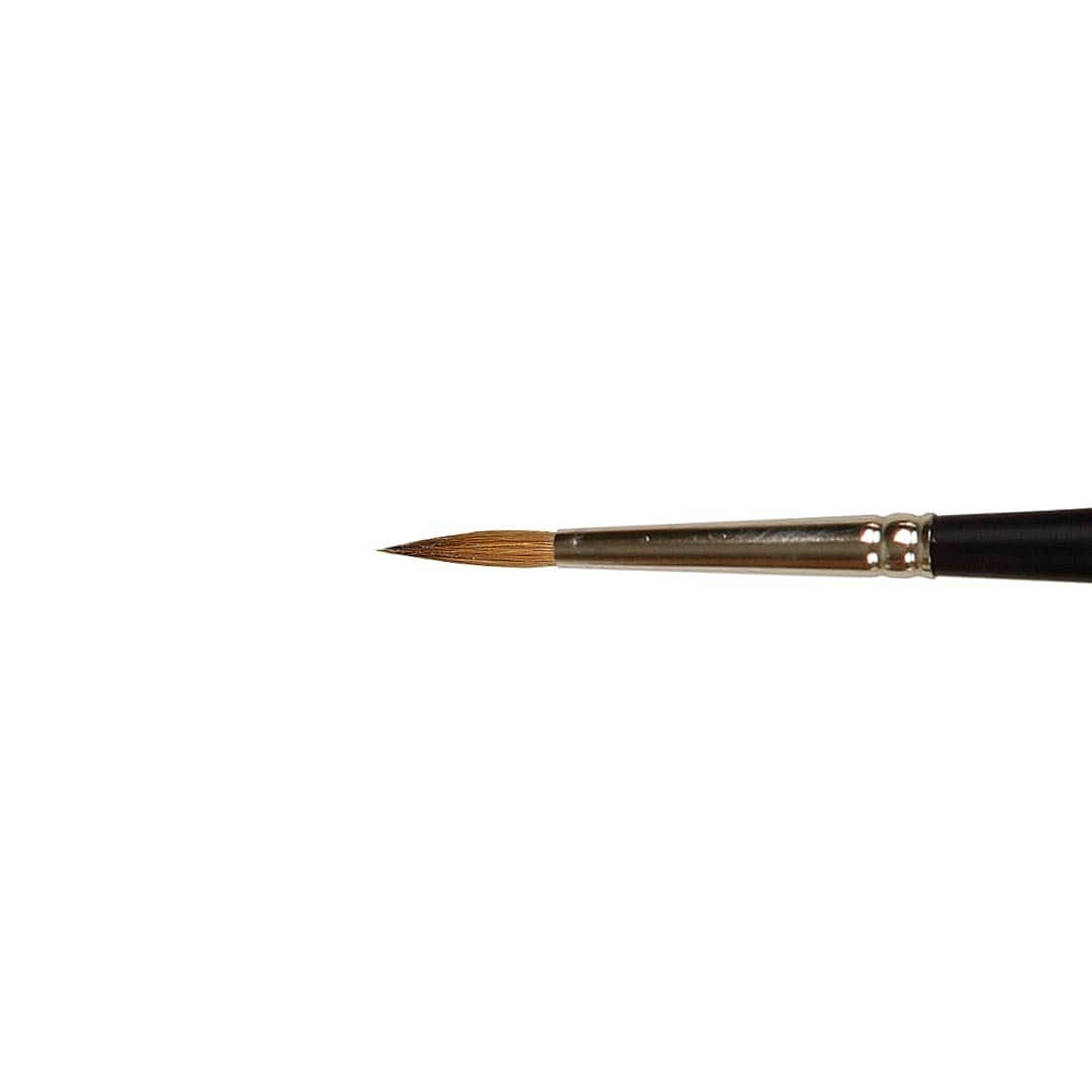 Winsor & Newton Artists' Water Colour Sable Brush Size 4, close up of brush head