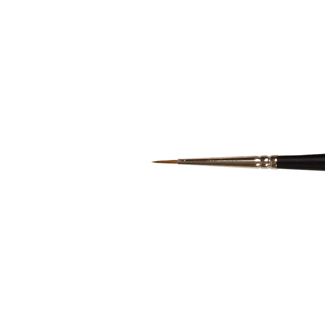 Winsor & Newton Artists' Water Colour Sable Brush Size 00, close up of brush head