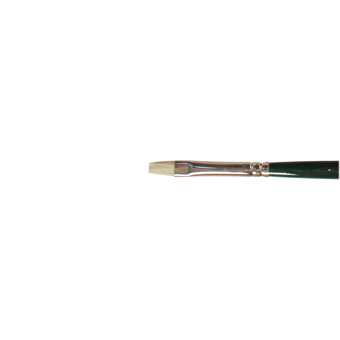 close up of brush head of Winsor & Newton Winton Bristle Brush Bright Size 2