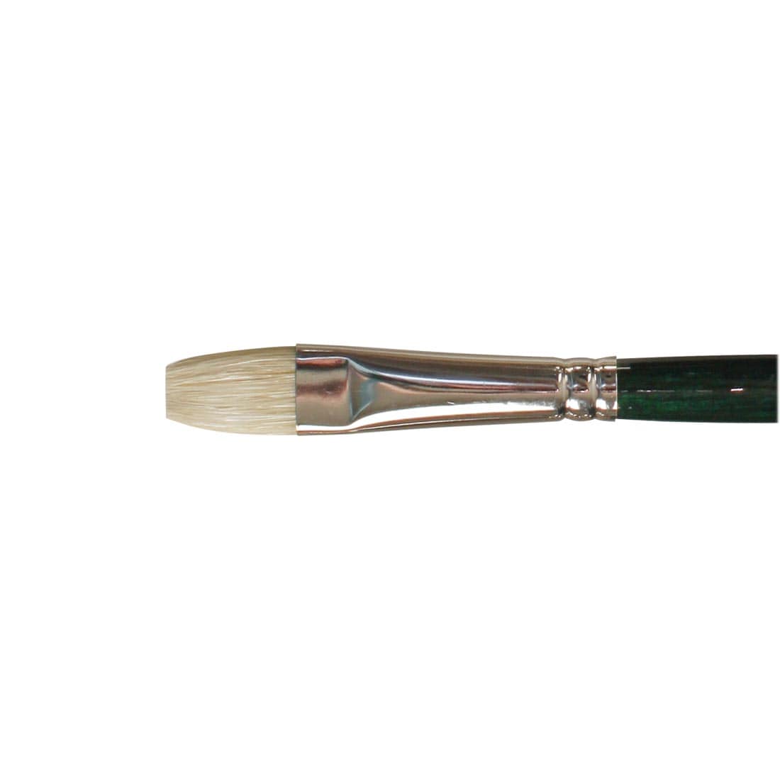 close up of brush head of Winsor & Newton Winton Bristle Brush Bright Size 8