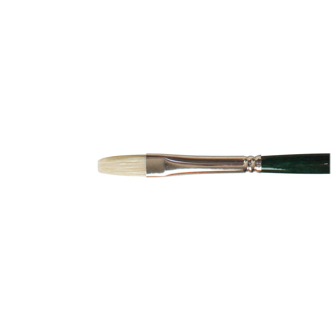 close up of brush head of Winsor & Newton Winton Bristle Brush Flat Size 4