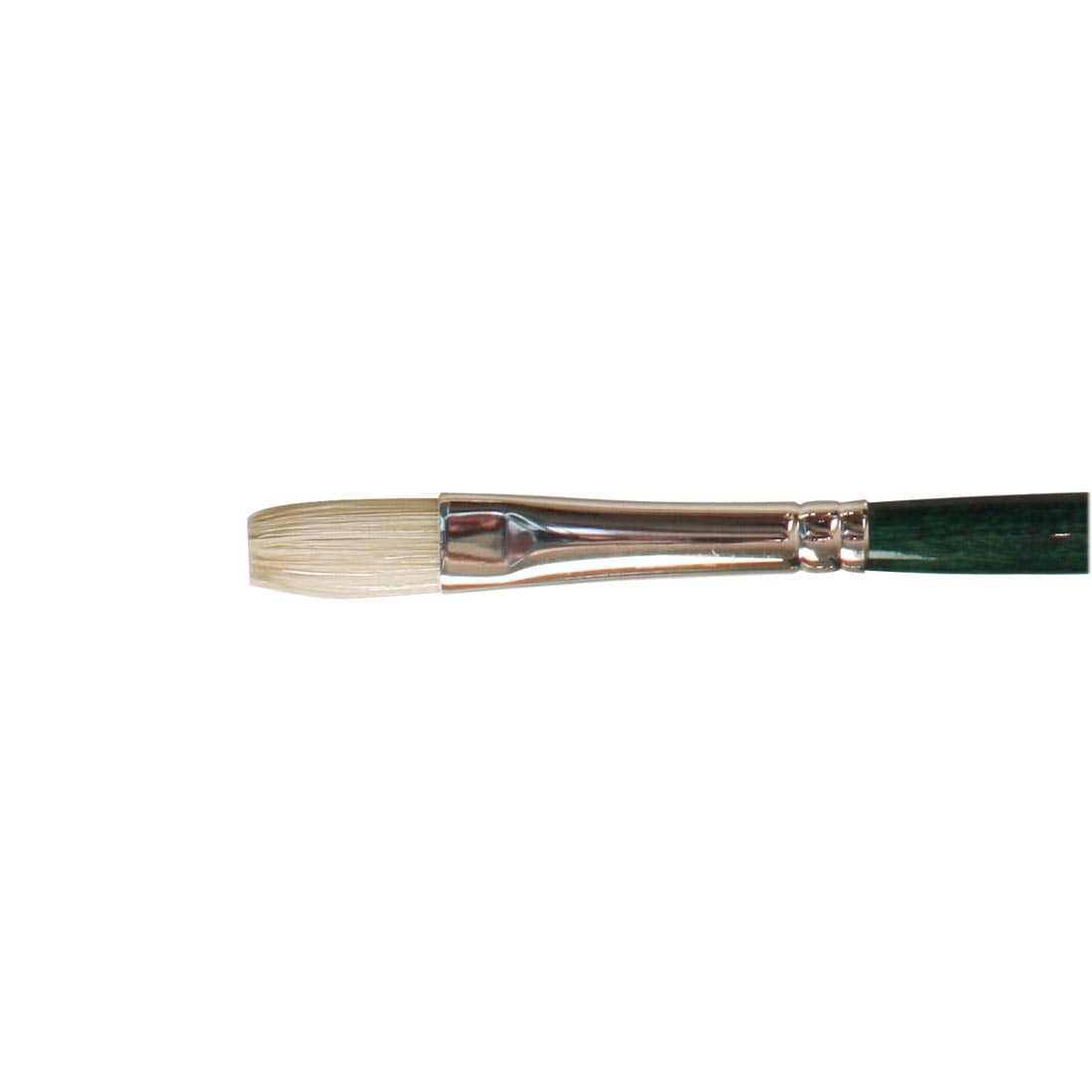 close up of brush head of Winsor & Newton Winton Bristle Brush Flat Size 6