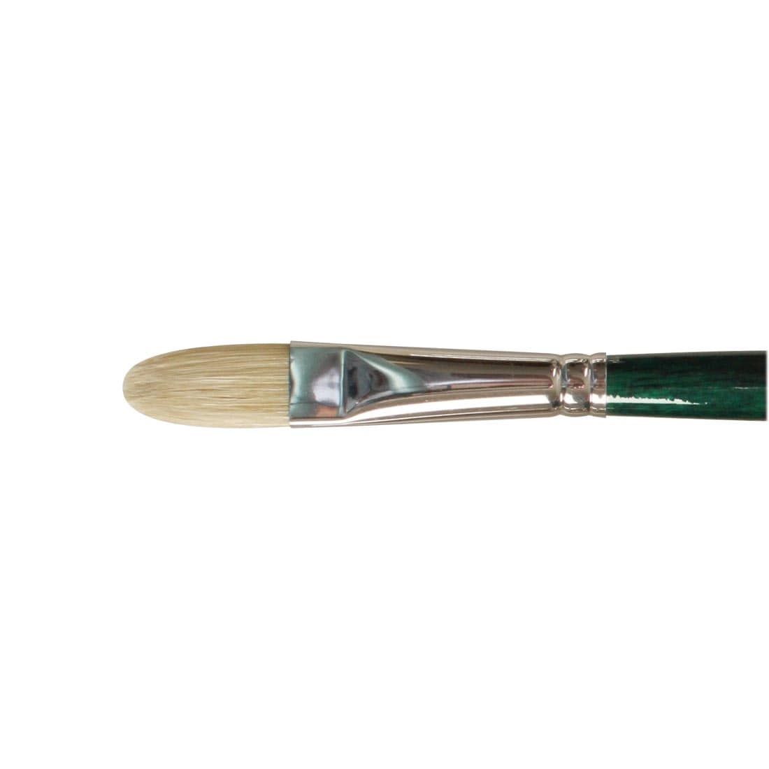 close up of brush head of Winsor & Newton Winton Bristle Brush Filbert Size 8