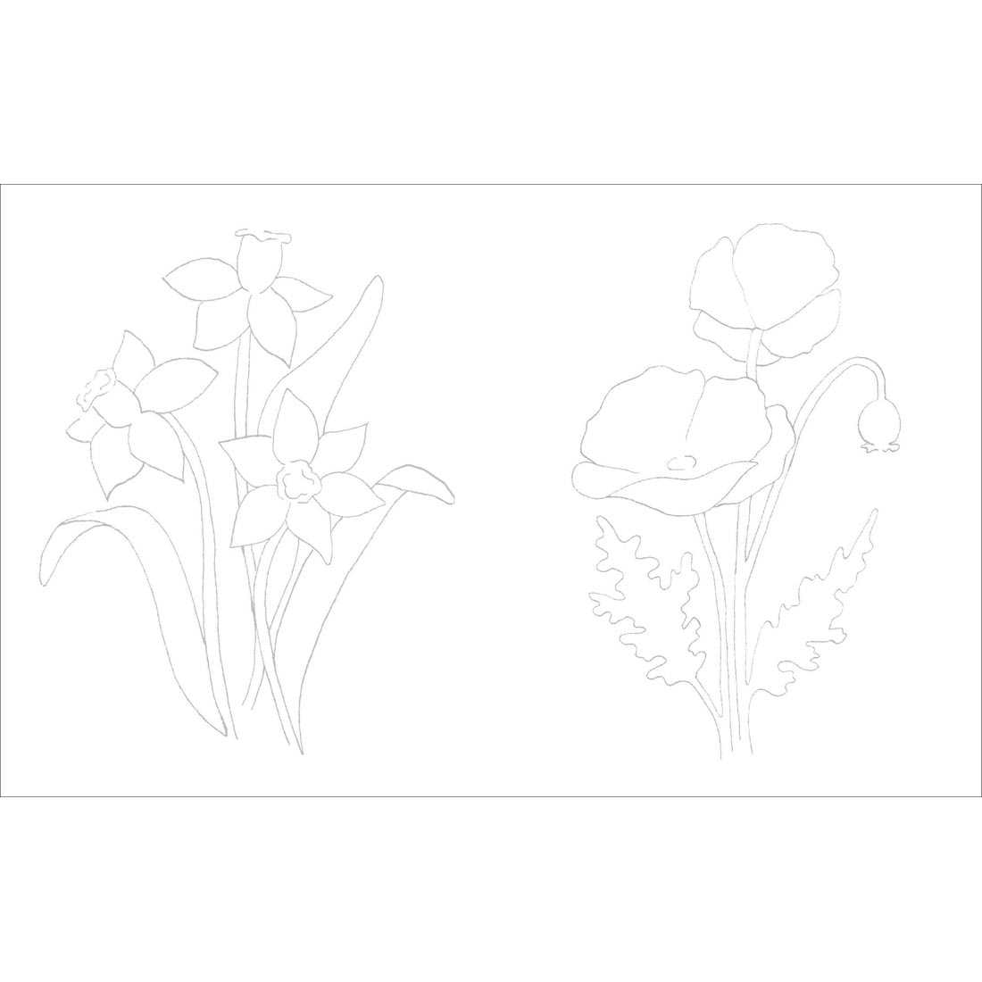2 pages from the Birth Flowers in Watercolor Book