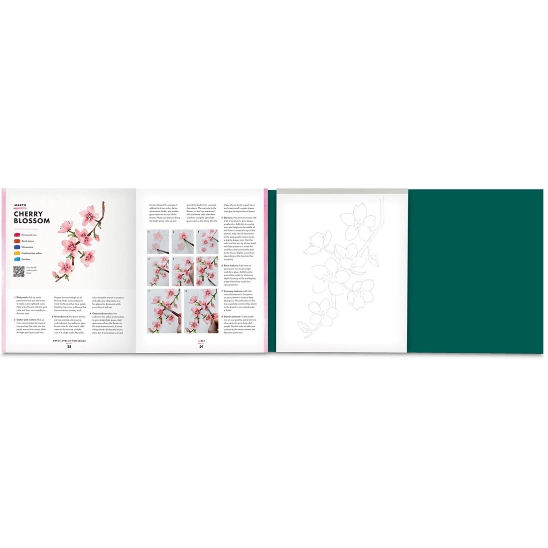 a look inside the Birth Flowers in Watercolor Book