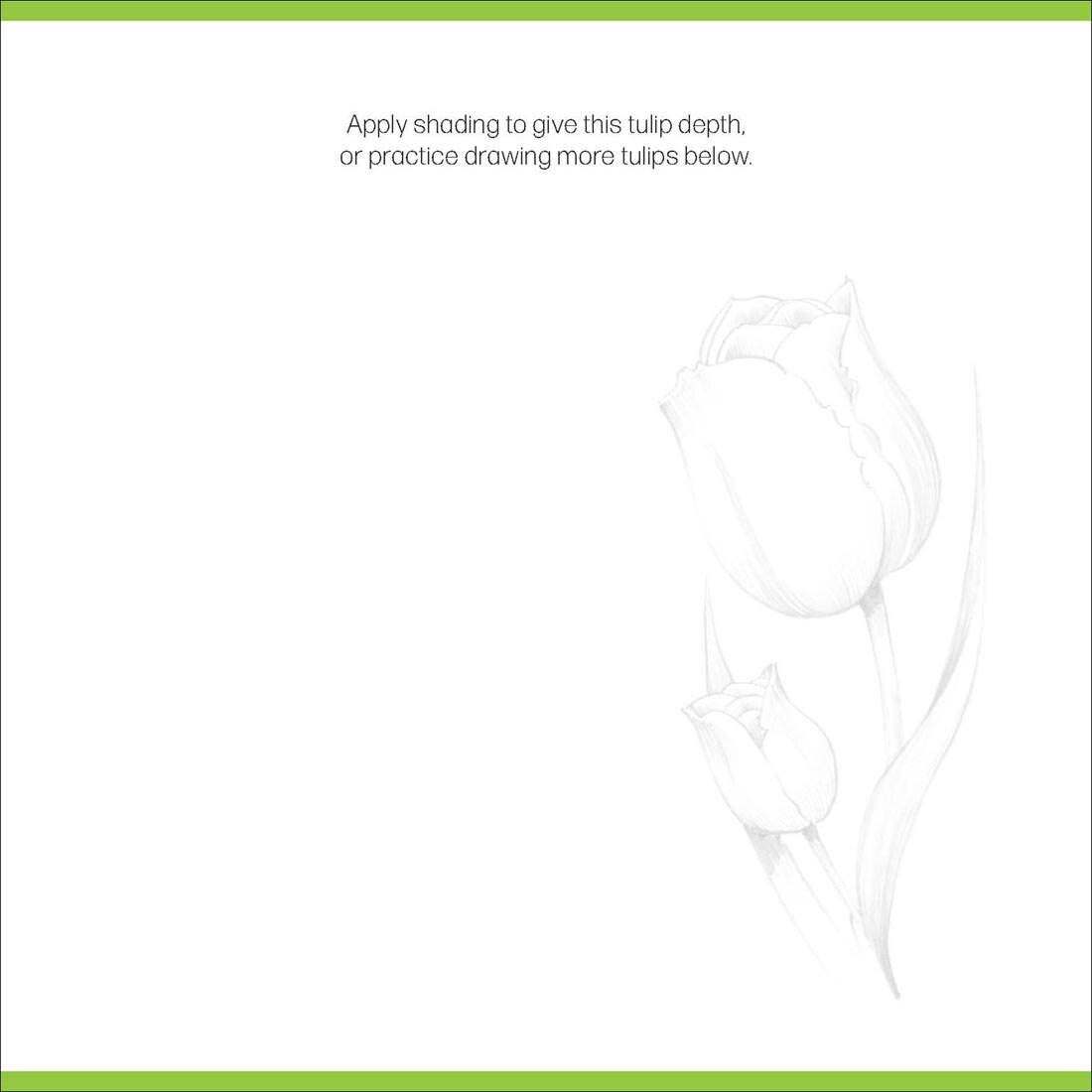 page from the Basics Quick Start Drawing Pad