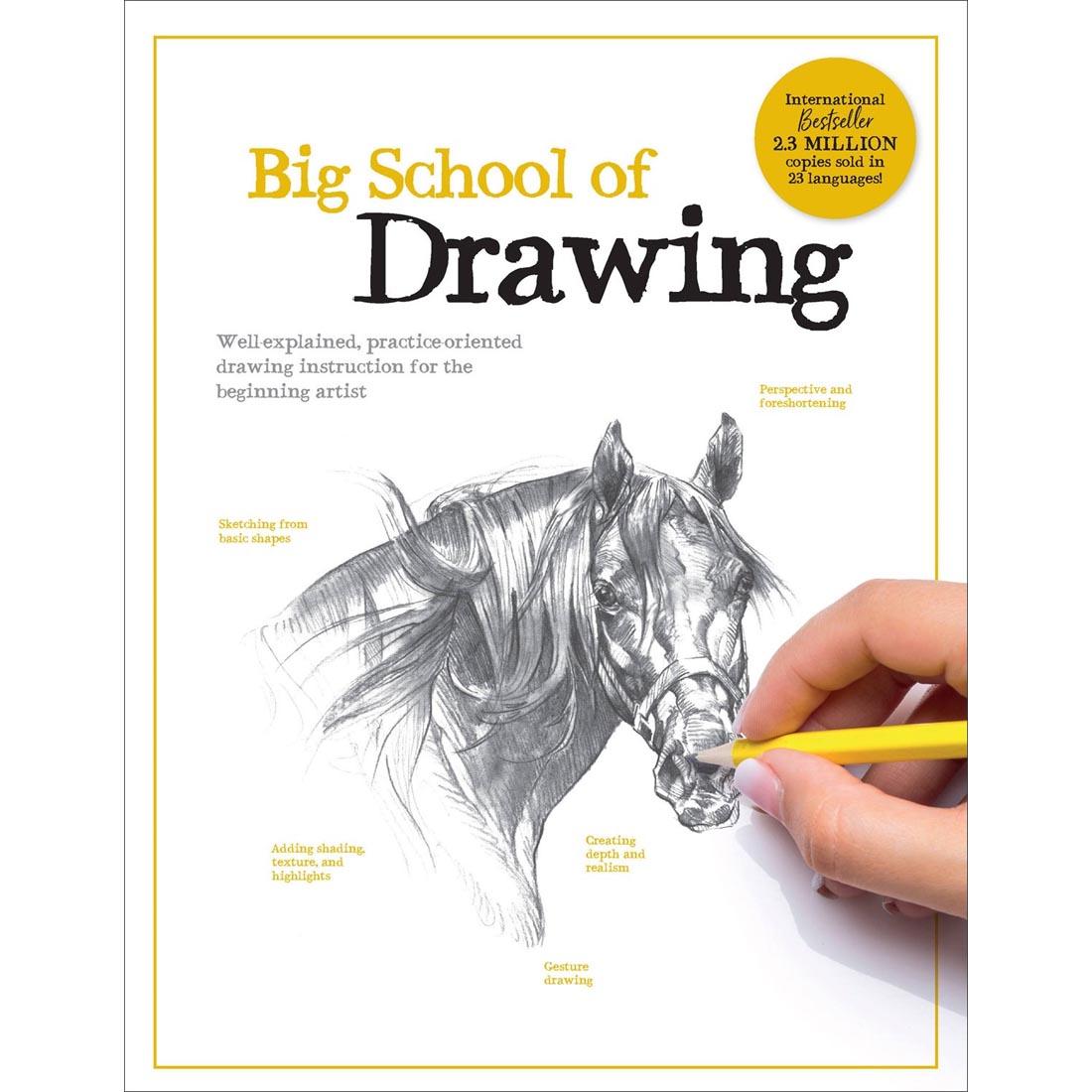 Big School Of Drawing: Well-Explained, Practice-Oriented Drawing Instruction for the Beginning Artist