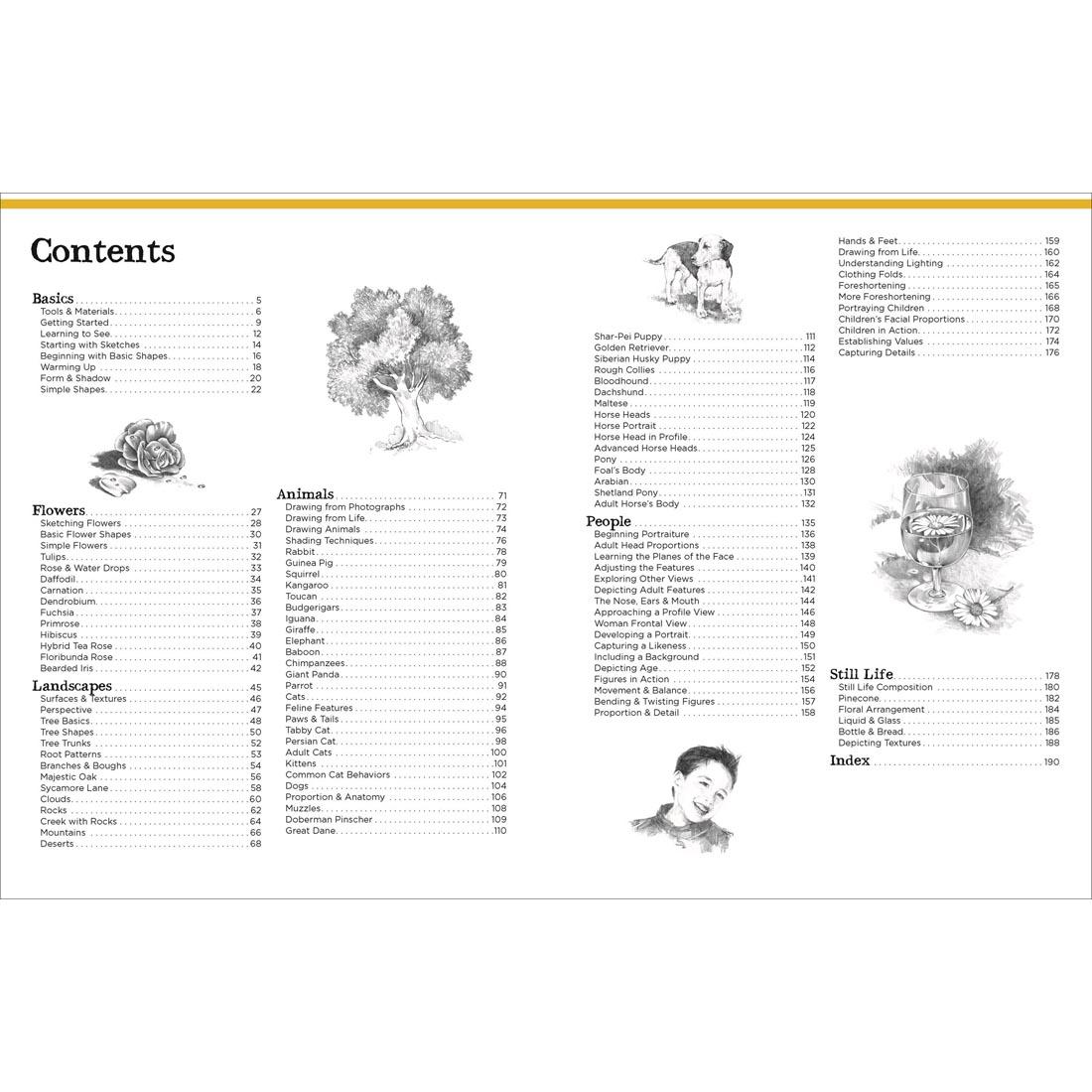 table of contents for the Big School Of Drawing Book