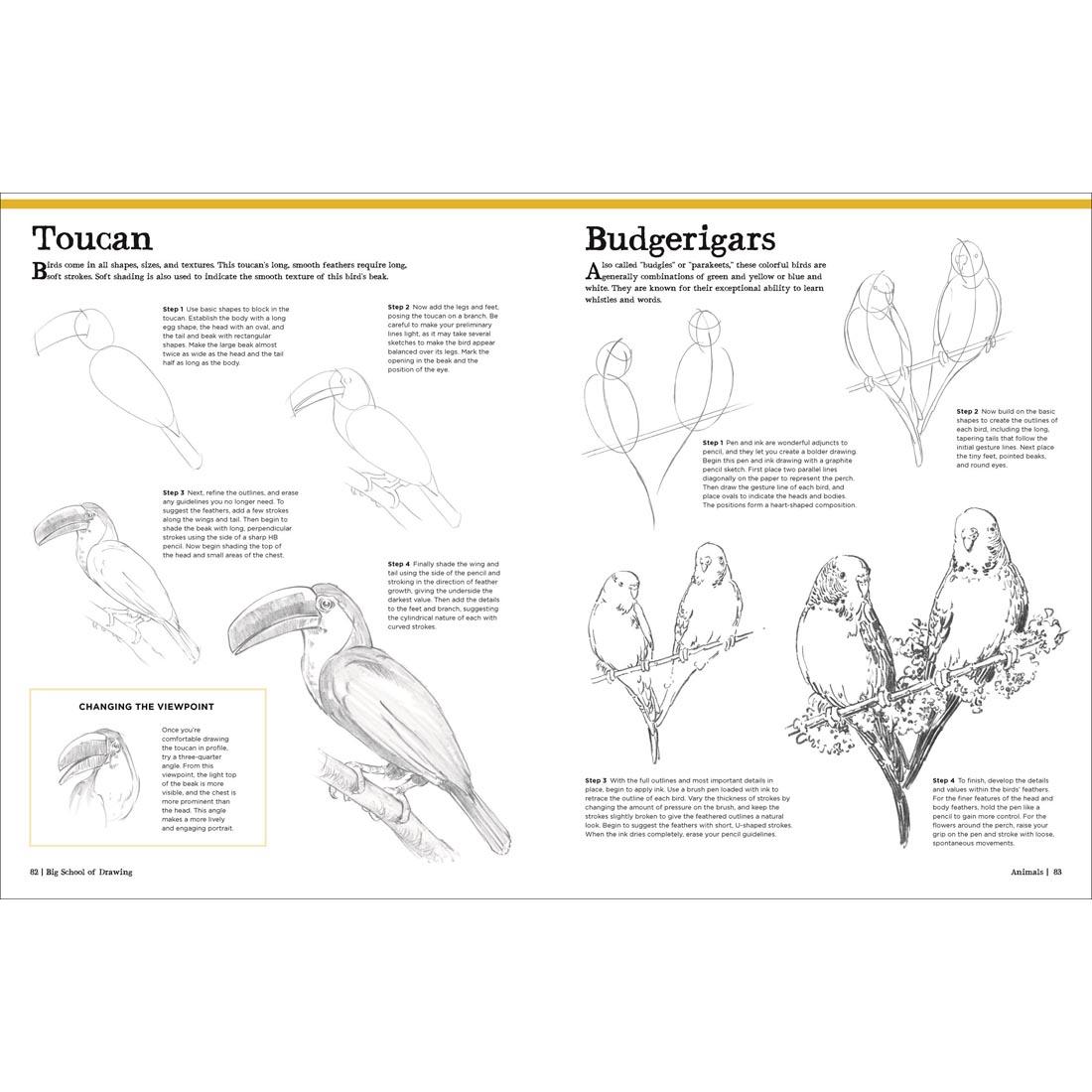 2 pages from the Big School Of Drawing Book