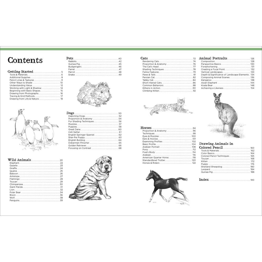 table of contents for the Big School of Drawing Animals Book