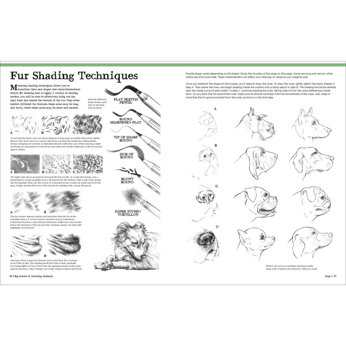 2 pages from the Big School of Drawing Animals Book