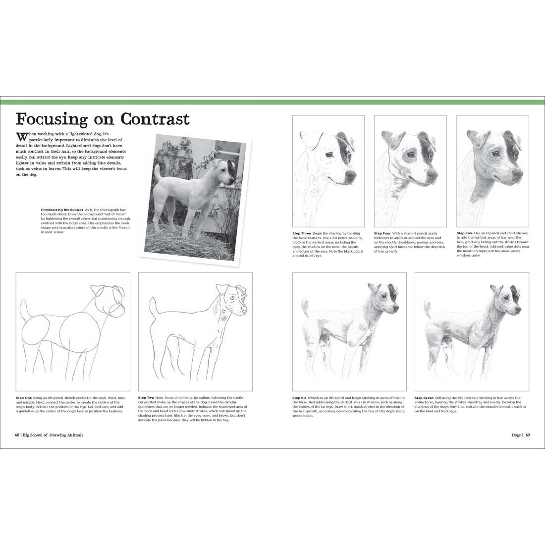 2 pages from the Big School of Drawing Animals Book