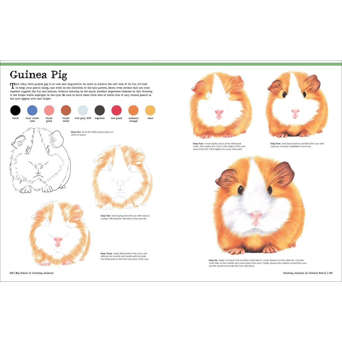 2 pages from the Big School of Drawing Animals Book